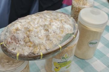 Pemprov Lampung: Diversifikasi pangan solusi mengurangi konsumsi beras