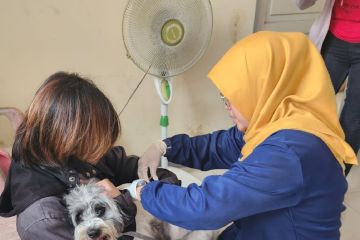 Masyakat Tangerang bisa ajukan kolektif vaksinasi rabies gratis