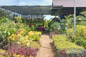 Pilihan bunga yang memikat mata