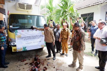 OJK Lampung dukung pembiayaan klaster pisang di Tanggamus
