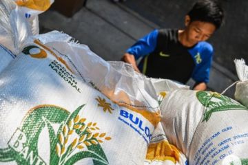 Kemarin, dari instruksi Menteri BUMN hingga kecukupan produksi beras