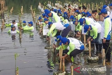 TransJakarta gandeng aneka mitra tanam mangrove di pesisir DKI