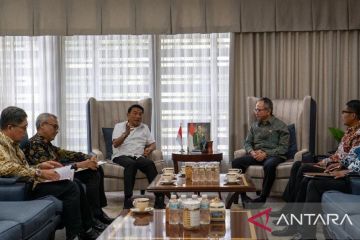 KSP dan OJK tindak lanjuti arahan Jokowi soal perdagangan karbon