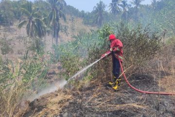 Damkar Lampung Selatan tangani 122 kebakaran lahan
