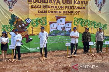 Pusri edukasi penyuluh pertanian di Lampung dukung swasembada pangan