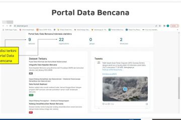 BNPB: Manajemen data tingkatkan ketanggapan risiko bencana