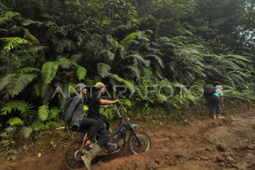 Akses jalan desa wisata di Bengkulu