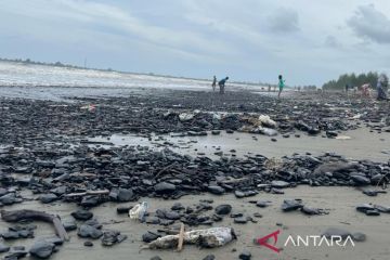 LSM minta Pemerintah Aceh tangani pencemaran batu bara di Aceh Barat