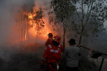 Album Asia: Potret kebakaran lahan gambut di Provinsi Sumatra Selatan