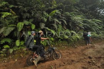 Akses jalan desa wisata di Bengkulu Utara