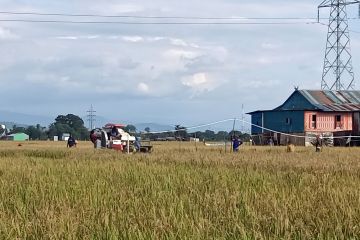 Musim kemarau, Muhammadiyah ajak warga siaga hadapi ancaman El Nino