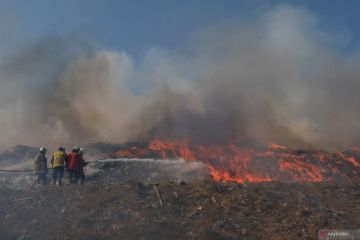 Kebakaran sampah di TPA Suwung, Kota Denpasar