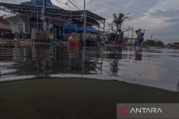 Bappeda: RUU DKJ diharapkan beri solusi cegah Jakarta tenggelam