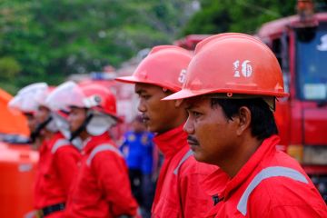 Industri perkebunan berkomitmen dukung pemerintah kendalikan Karhutla