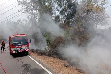 Kebakaran lahan di Jalan Lintas Sumatera berhasil dipadamkan