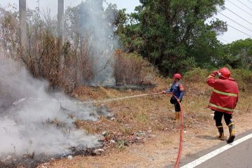 Damkar Lampung Selatan tangani tiga titik lokasi kebakaran lahan