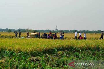 Presiden Jokowi apresiasi produktivitas petani di Indramayu