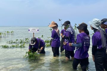 Sanofi-LEVA tanam 1.000 mangrove di Kep. Seribu kurangi polusi udara