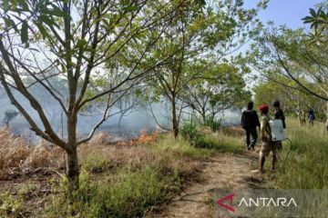 Satu unit pabrik gula terbakar akibat kebakaran lahan di Cilacap