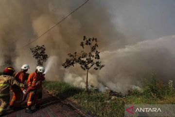 Upaya pemadaman kebakaran lahan di Surabaya