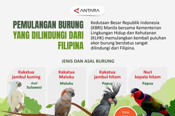 Pemulangan burung yang dilindungi dari Filipina