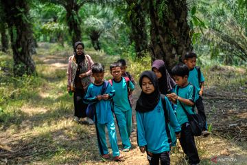 Menyisir sisa ladang perjuangan setelah Indonesia merdeka