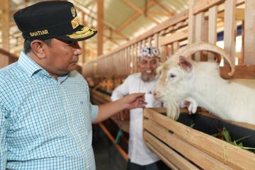 Pj Gubernur Sulsel mengunjungi peternakan ayam dan kambing di Gowa