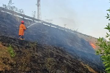 Damkar Lampung Selatan berhasil padamkan kebakaran lahan di tol km 99