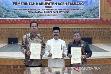 PLN EPI menargetkan Aceh Tamiang sumber biomassa energi terbarukan