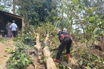 BNPB: 312 orang terdampak angin puting beliung di Sukabumi