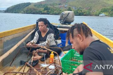 Papua Diving Academy konsen jaga ekosistem laut di Teluk Tanah Merah