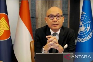 Dubes Arrmanatha: Indonesia tidak tinggal diam dalam isu Gaza