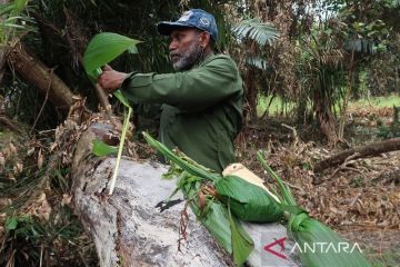 Mempromosikan ekowisata Papua melalui konsep "Jungle Chef"