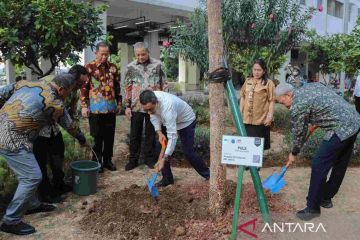 DKI salurkan 200 pohon dari swasta untuk hijaukan Rusun Nagrak