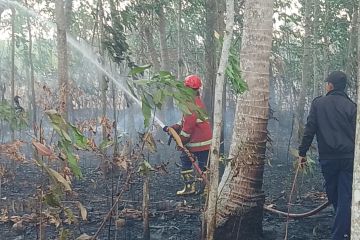 Damkar Lampung Selatan padamkan kebakaran lahan di dua lokasi