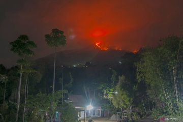 Jalur pendakian Gunung Merbabu ditutup akibat kebakaran