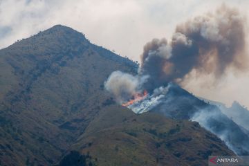 Kebakaran di Gunung Merbabu