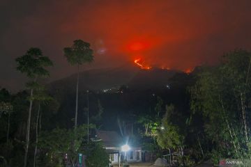 Foto pilihan pekan terakhir Oktober 2023