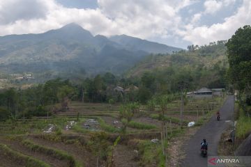 BPBD Semarang gandeng TN Gunung Merbabu reboisasi vegetasi