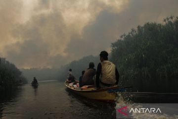 BRGM prioritaskan pengendalian air terpadu cegah kebakaran gambut