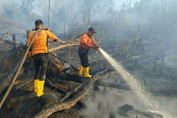 BMKG deteksi 462 titik panas di Kalimantan Timur