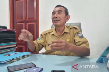 Kabupaten Manokwari berhasil pulih dari wabah virus ASF
