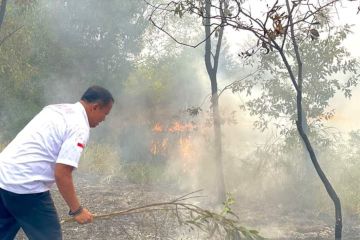 BPBD Babel sebut karhutla belum akan berkurang hingga musim hujan tiba