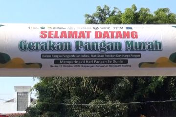 Suasana peringatan Hari Pangan Sedunia di berbagai kota