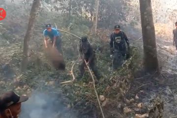 BPBD Kabupaten Pasuruan pastikan kebakaran Gunung Arjuno teratasi