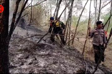 Helikopter water bombing terus dikerahkan padamkan Gunung Lawu