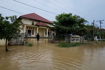Intensitas hujan tinggi, Aceh Utara terendam banjir