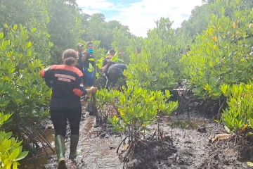 Pemuda Jayapura tanam mangrove memperingati Sumpah Pemuda