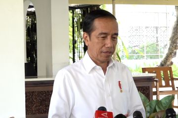 Presiden Jokowi tunjuk Kepala Badan Pangan Nasional jadi Plt Mentan