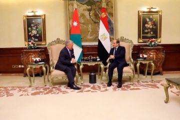 Presiden Mesir dan Raja Yordania bahas eskalasi Israel di Gaza